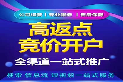 百度推广代运营案例：行业领先企业的成功之道